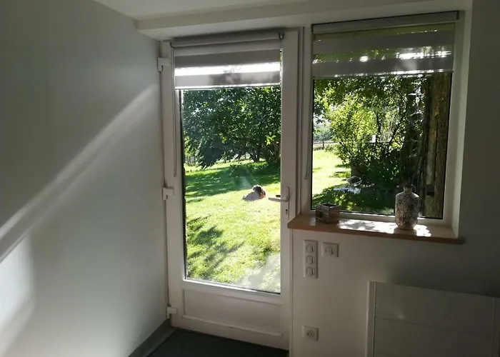 Les Buis * Castelnaud-la-Chapelle